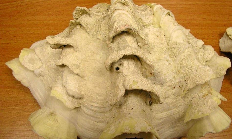 2020-1-20-1912foto zéva.jpg